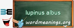 WordMeaning blackboard for lupinus albus